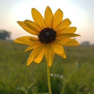 Meet your Posher, Jody